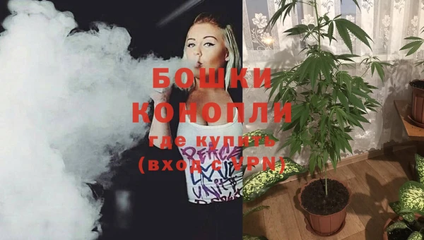 шишки Балабаново