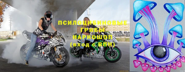 дживик Арсеньев