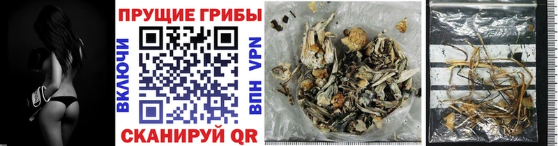 Галлюциногенные грибы Cubensis  ОМГ ОМГ   Лаишево  купить наркоту 